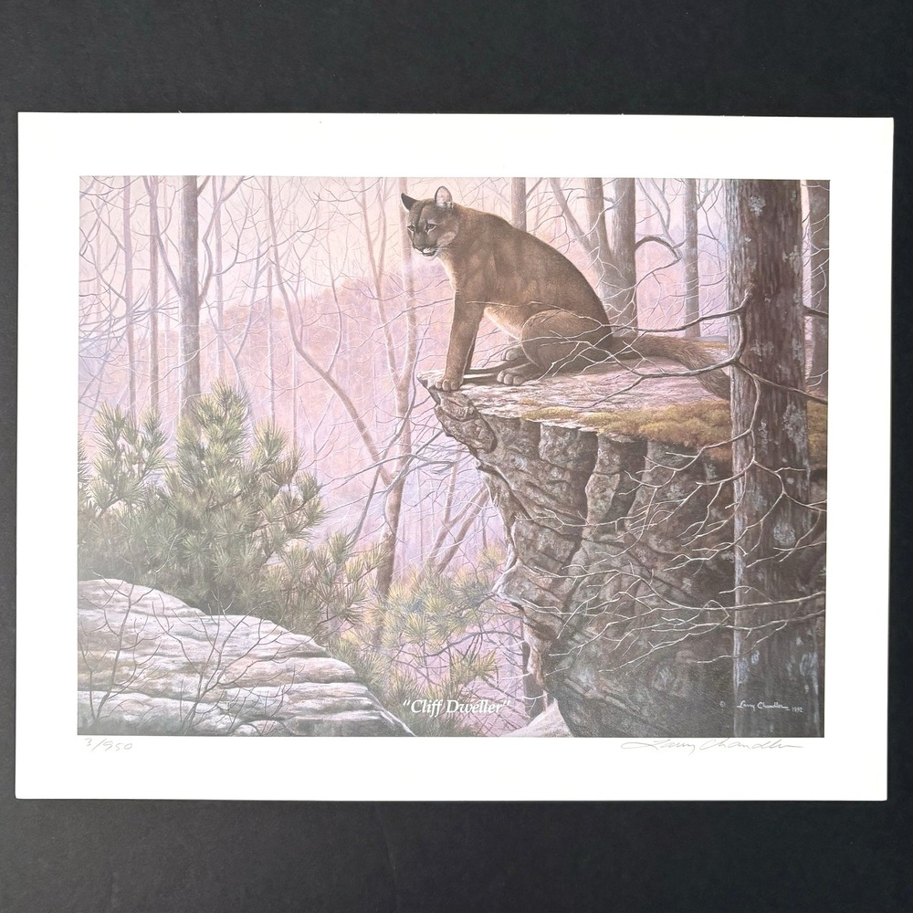 Larry Chandler Mountain Lion Puma Cliff Dweller Art Print Signed Numbered 14x11"